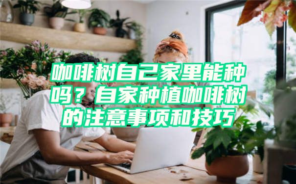 咖啡树自己家里能种吗？自家种植咖啡树的注意事项和技巧