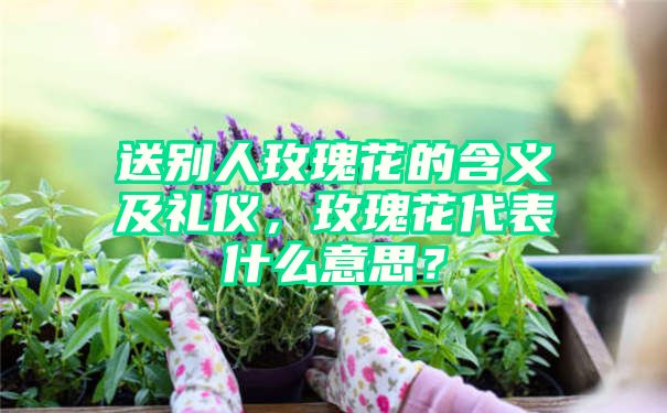 送别人玫瑰花的含义及礼仪，玫瑰花代表什么意思？