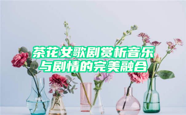 茶花女歌剧赏析音乐与剧情的完美融合