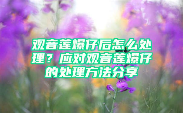 观音莲爆仔后怎么处理？应对观音莲爆仔的处理方法分享