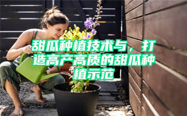 甜瓜种植技术与，打造高产高质的甜瓜种植示范