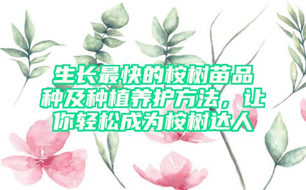 生长最快的桉树苗品种及种植养护方法，让你轻松成为桉树达人