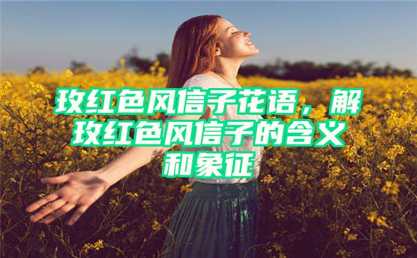 玫红色风信子花语，解玫红色风信子的含义和象征