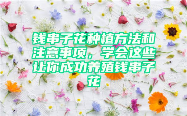 钱串子花种植方法和注意事项，学会这些让你成功养殖钱串子花