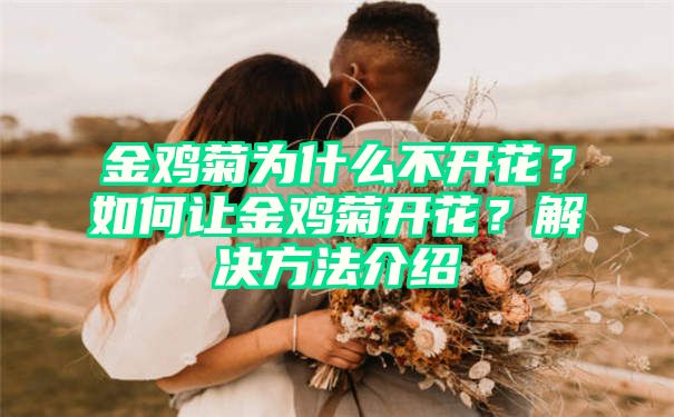 金鸡菊为什么不开花？如何让金鸡菊开花？解决方法介绍