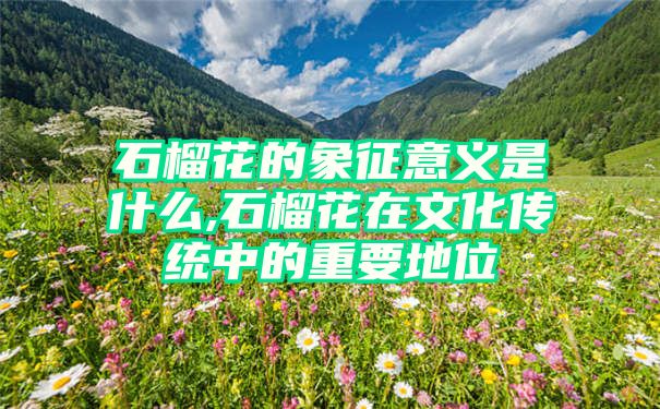 石榴花的象征意义是什么,石榴花在文化传统中的重要地位