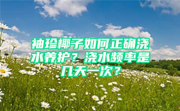 袖珍椰子如何正确浇水养护？浇水频率是几天一次？