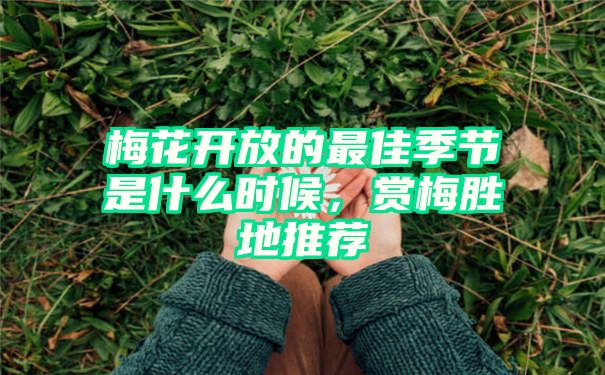 梅花开放的最佳季节是什么时候，赏梅胜地推荐