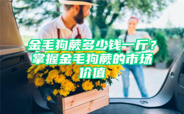 金毛狗蕨多少钱一斤？掌握金毛狗蕨的市场价值