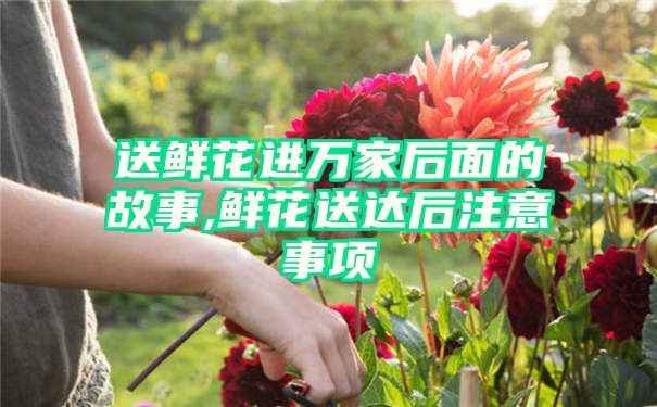 送鲜花进万家后面的故事,鲜花送达后注意事项