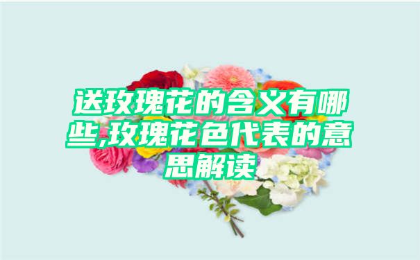 送玫瑰花的含义有哪些,玫瑰花色代表的意思解读