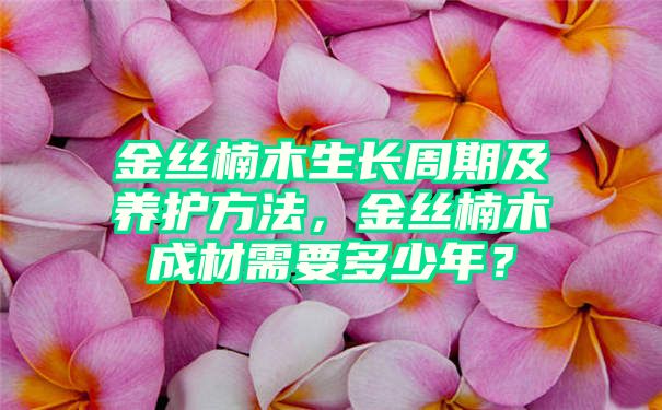 金丝楠木生长周期及养护方法，金丝楠木成材需要多少年？