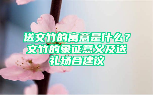 送文竹的寓意是什么？文竹的象征意义及送礼场合建议