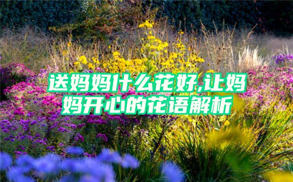 送妈妈什么花好,让妈妈开心的花语解析