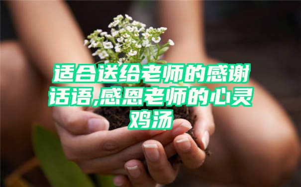 适合送给老师的感谢话语,感恩老师的心灵鸡汤