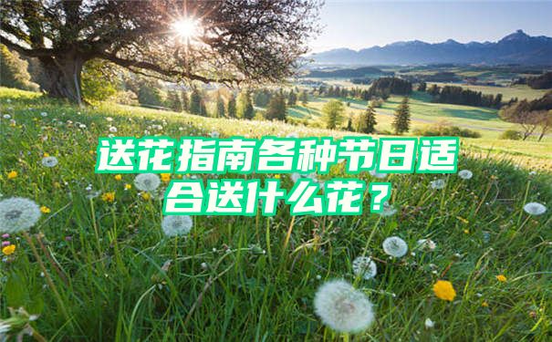 送花指南各种节日适合送什么花？