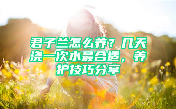 君子兰怎么养？几天浇一次水最合适，养护技巧分享