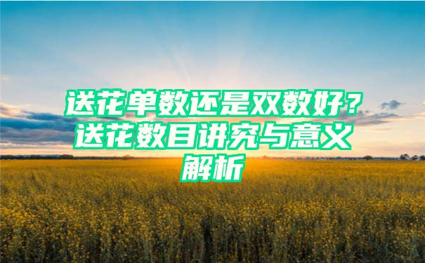 送花单数还是双数好？送花数目讲究与意义解析