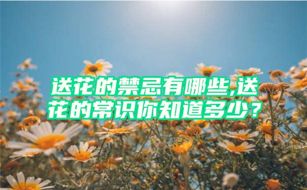 送花的禁忌有哪些,送花的常识你知道多少？