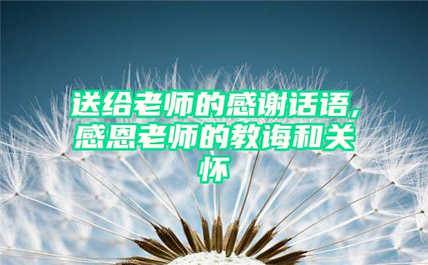 送给老师的感谢话语,感恩老师的教诲和关怀