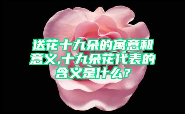 送花十九朵的寓意和意义,十九朵花代表的含义是什么？